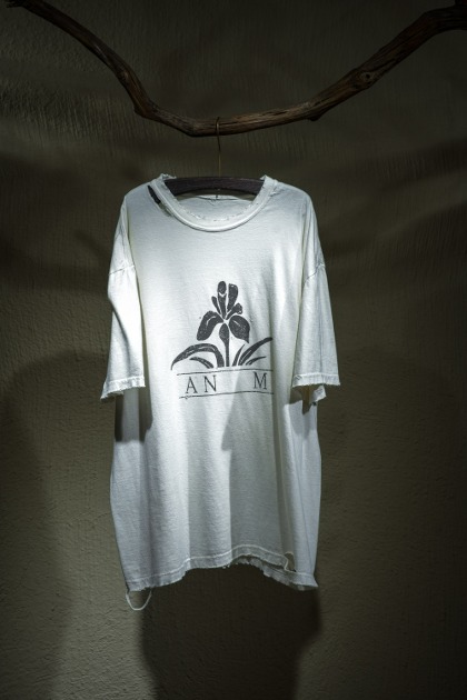 안셀름 Ancellm - Iris T-Shirt - Ivory